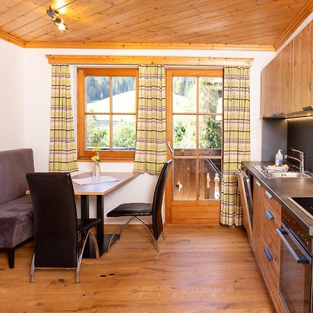 Glonerbauer Apartment Altenmarkt im Pongau Dış mekan fotoğraf
